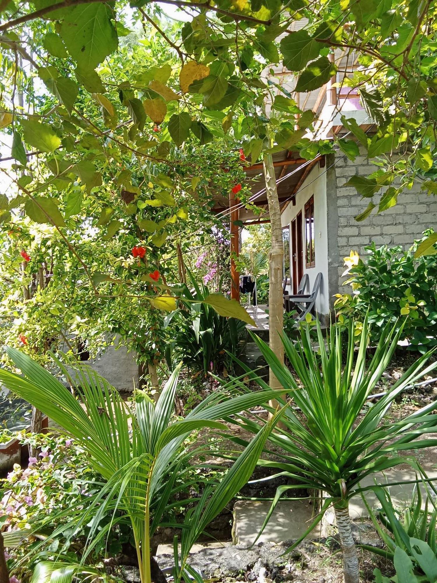Feby'S Homestay Ekas Kamer foto